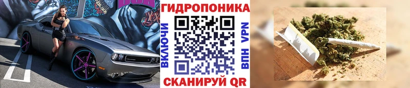 Виды наркотиков купить Невьянск Бошки Шишки ТГК ГАШИШ Меф мяу мяу COCAIN СК