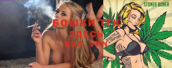 стаф Володарск